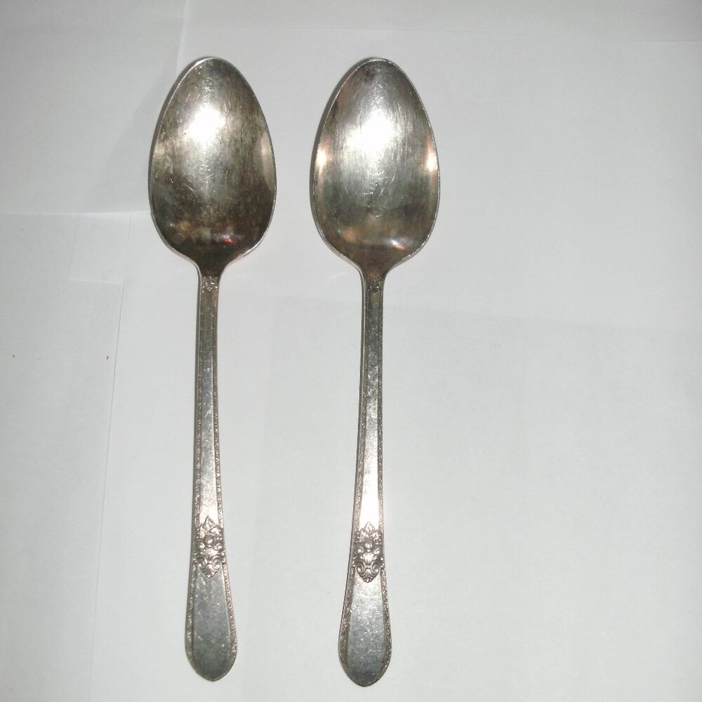TWO ~ 1847 Rogers Bros ADORATION International Silver Plate 8.5" Serving Spoons
